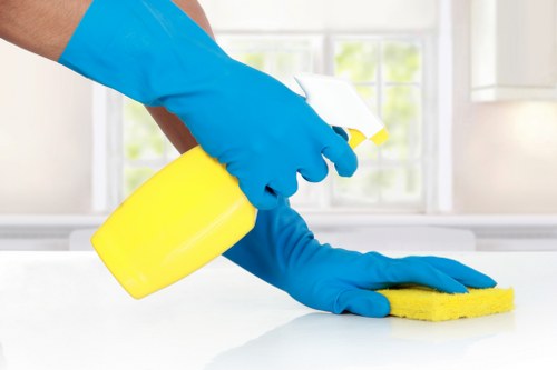 Cleaning quote for a family home or apartment in SE15