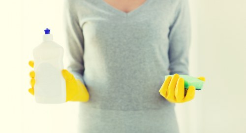Accessibility support section for Carpetcleaning SE15 users needing assistance
