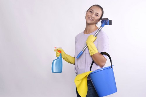 Local sofa cleaning for residential and commercial seating