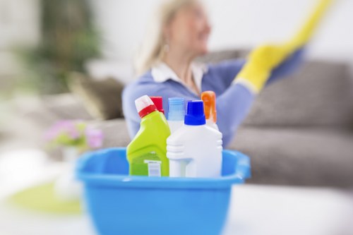 Cleaning product and safety gloves for carpet care