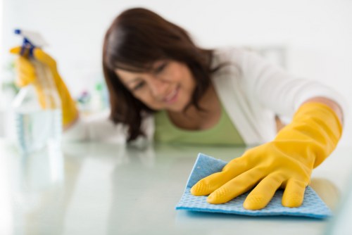 Deep cleaning support for homes and rental properties in SE15