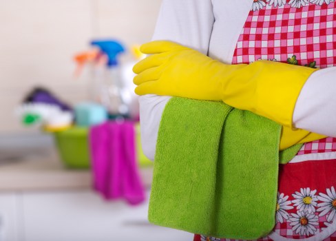 Deep carpet cleaning equipment used in a SE15 home or flat