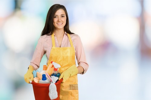 Commercial cleaner maintaining an SE15 workspace
