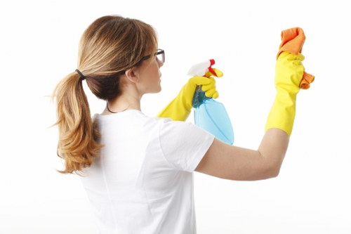 Domestic cleaning service for kitchens and bathrooms in SE15