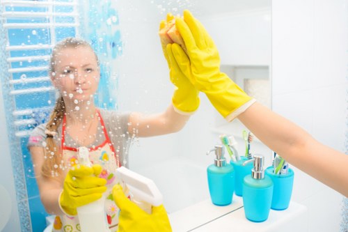Domestic cleaning service for a flat in SE15