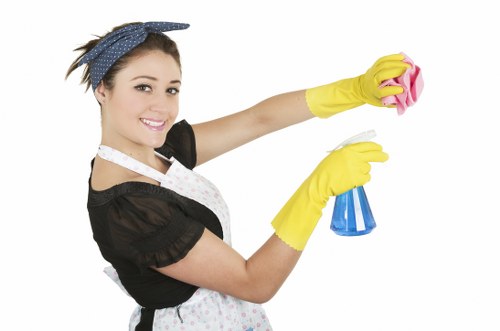 Local oven cleaning visit for a flat or house in SE15