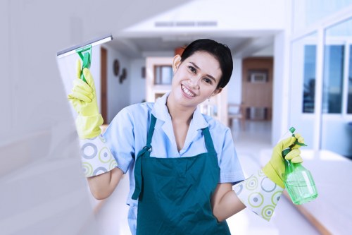 Deep cleaning an oven door and glass in a local home